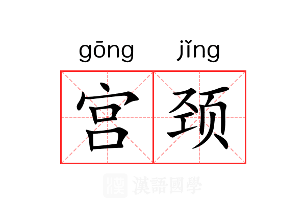 宫颈 宫颈