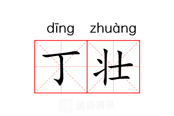 丁壮