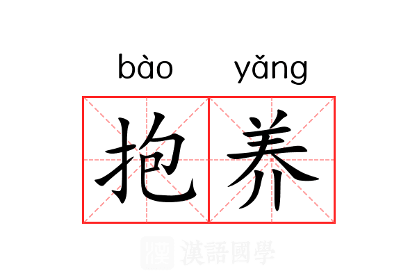 抱养 抱养