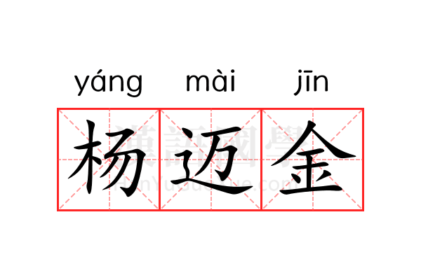 杨迈金 杨迈金