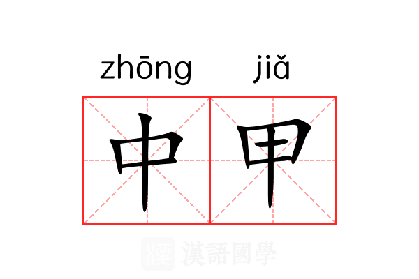 中甲 中甲