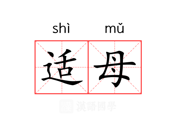适母
