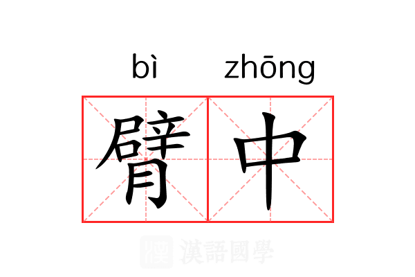 臂中
