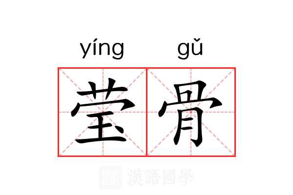 莹骨 莹骨