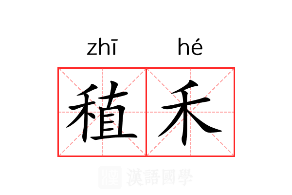 稙禾