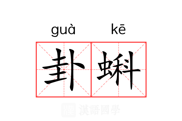 卦蝌