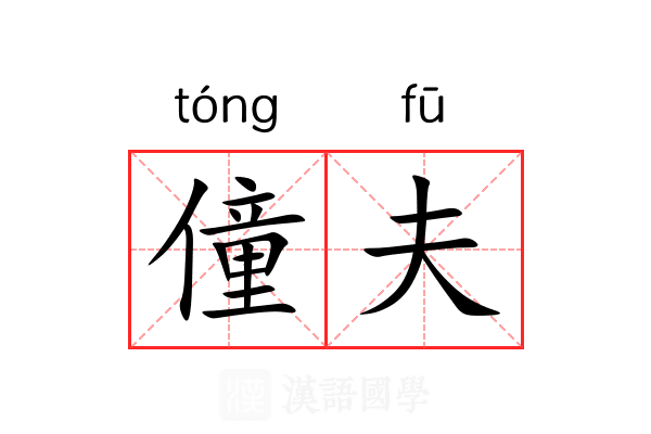 僮夫