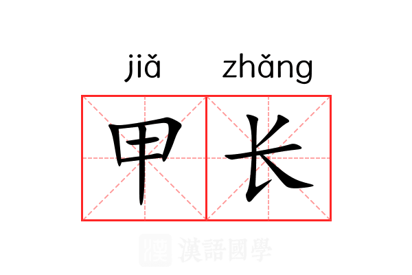 甲长 甲长