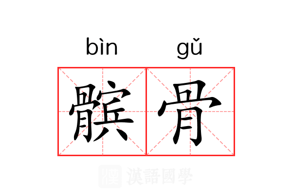 髌骨