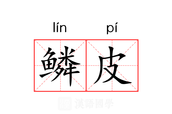 鳞皮 鳞皮