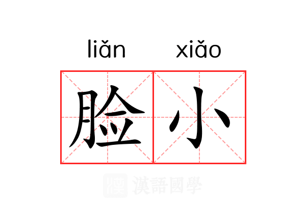 脸小 脸小