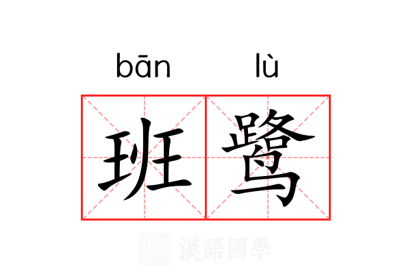 班鹭 班鹭
