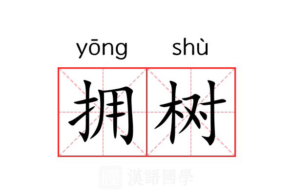 拥树 拥树