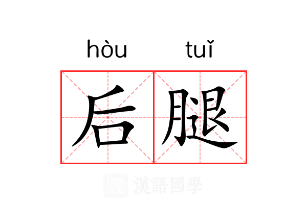 后腿 后腿