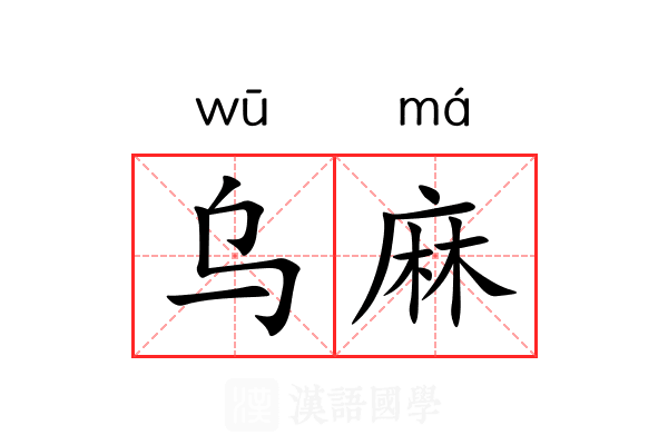 乌麻 乌麻
