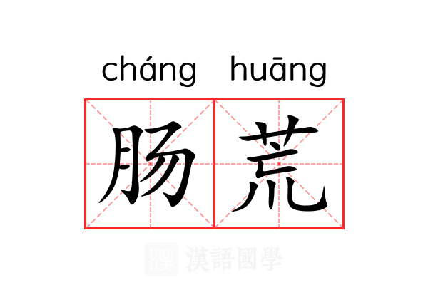 肠荒