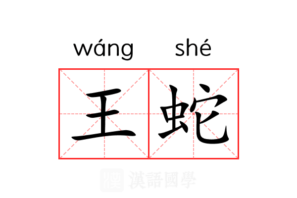 王蛇 王蛇