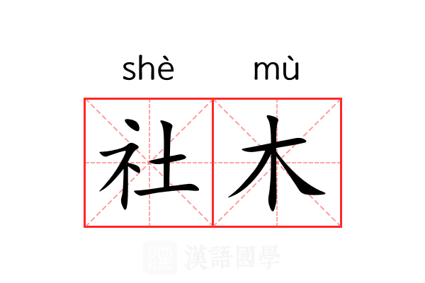 社木 社木