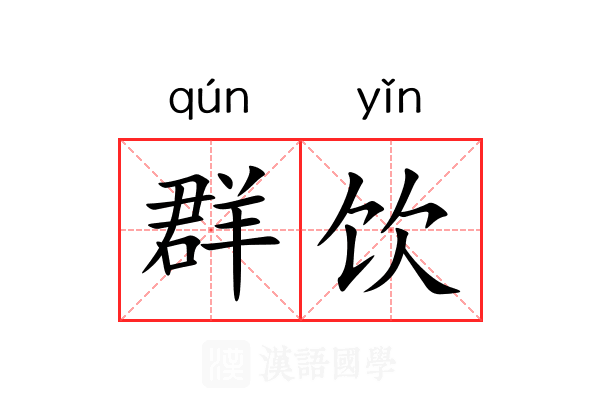 群饮 群饮