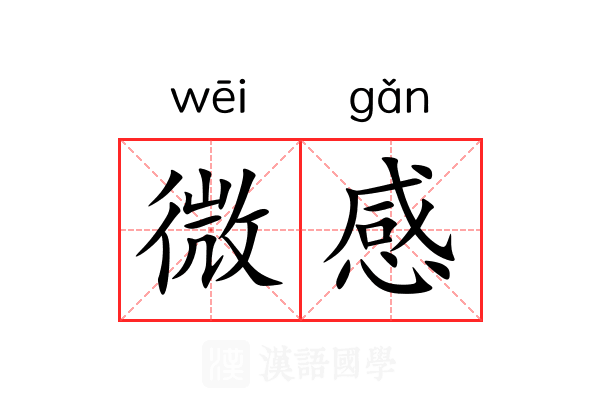 微感 微感