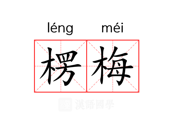 楞梅