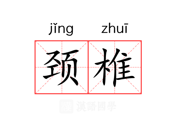 颈椎 颈椎