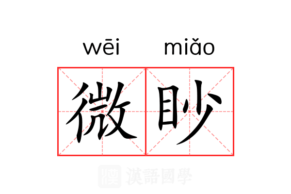 微眇