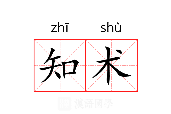 知术 知术