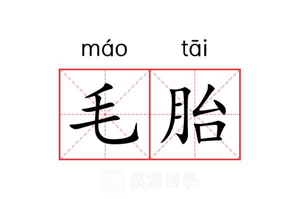 毛胎 毛胎