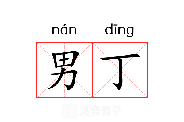 男丁