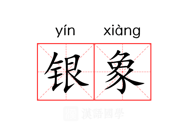 银象 银象