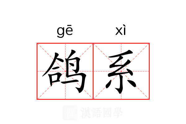 鸽系