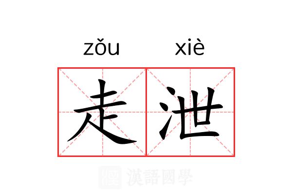 走泄 走泄