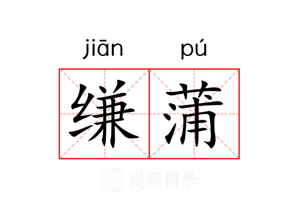 缣蒲