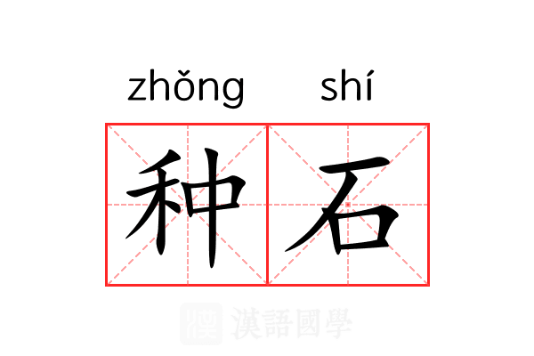 种石 种石