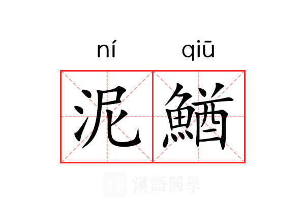 泥鰌 泥鰌