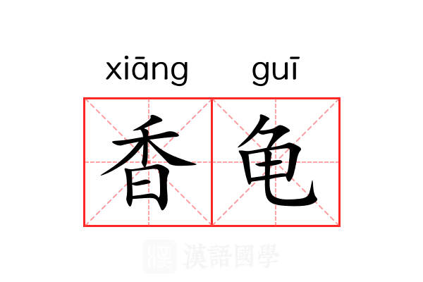 香龟 香龟