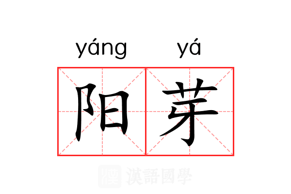 阳芽 阳芽