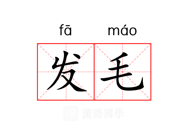 发毛