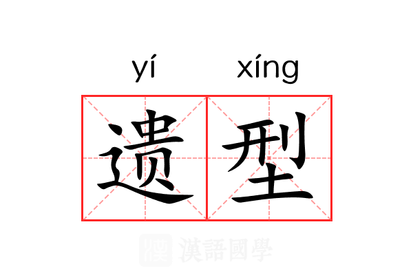 遗型 遗型