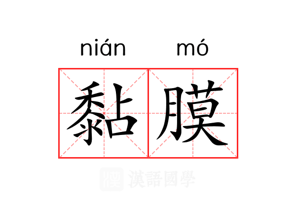 黏膜