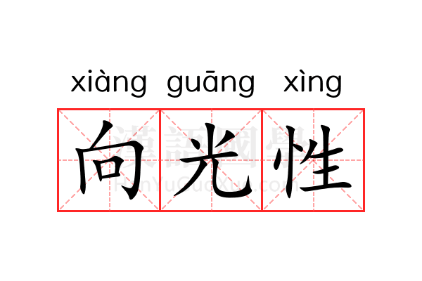 向光性 向光性