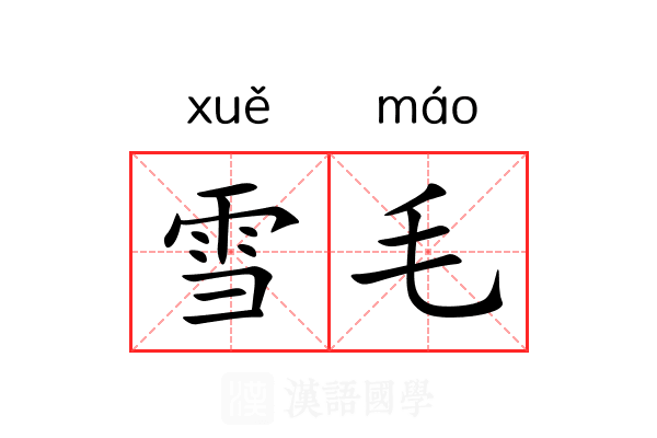 雪毛 雪毛