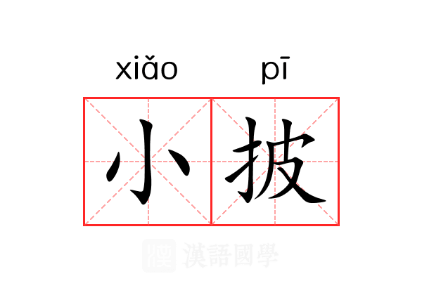 小披