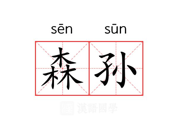 森孙 森孙
