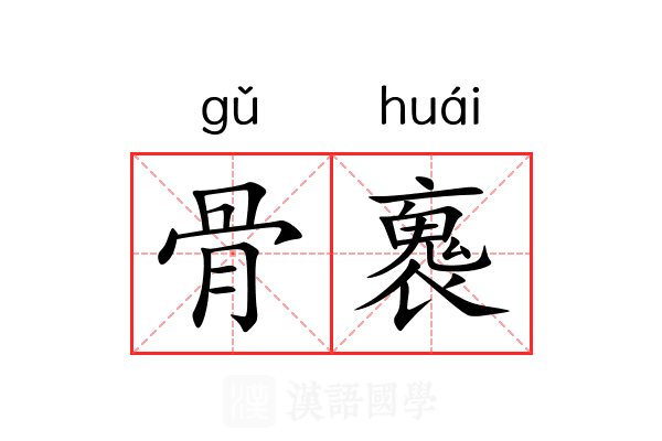 骨褢 骨褢