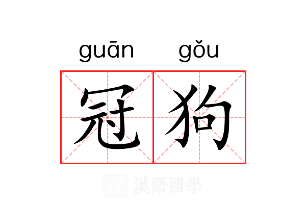 冠狗