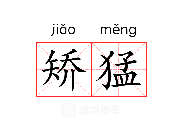 矫猛
