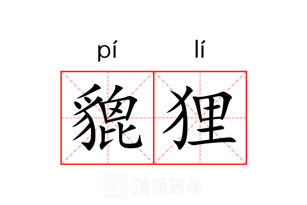 貔狸