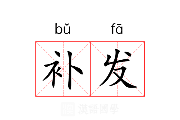 补发 补发